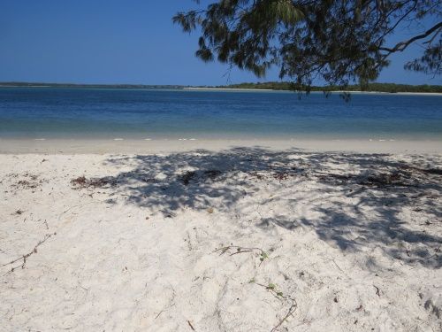 Crocodile Attack - Nhulunbuy - Update | NT Police, Fire & Emergency ...