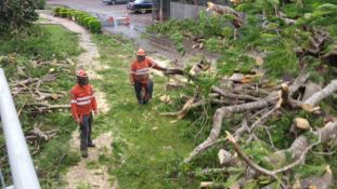 Northern Territory Emergency Service's extraordinary volunteers continue their work