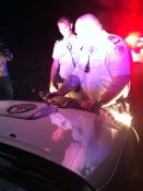 Police ask - “Why was the crocodile crossing the road?”