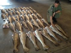 Man Summonsed for Fishing Unlicensed - Darwin