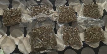 Cannabis seized - Darwin