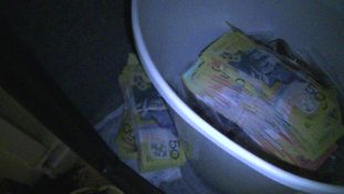 Cannabis and Cash Seized Virginia
