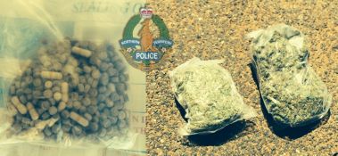 Joint Operations Leads to Cannabis and MDMA Seizure - Erldunda