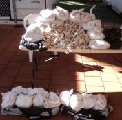 Police seize $126,000 worth of Kava - Bulman