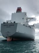 Water Police rescue - Darwin