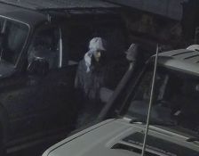 Stolen motor vehicles - Alice Springs