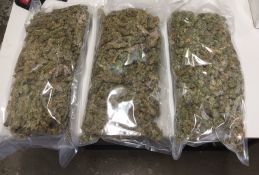 Cannabis Seized - Alice Springs