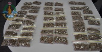 Cannabis Seizure - Katherine