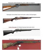 Call for Information - Stolen Firearms - Millner