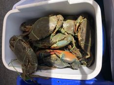 Targeted operation by Water Police produces good results - Darwin