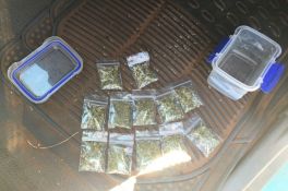 Cannabis Seized - Tennant Creek