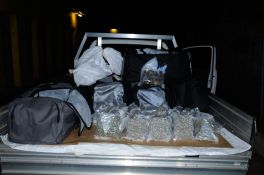 Multimillion-dollar drug seizure - Palmerston