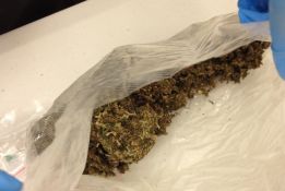 Cannabis Seized - Gapuwiyak