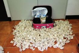 $62,000 worth of kava seized in Nhulunbuy