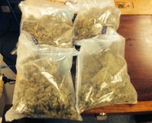 Drug Seizure – Alice Springs