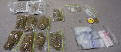 Cannabis Seized - Tennant Creek