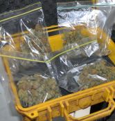 Drugs, weapons seized - Katherine