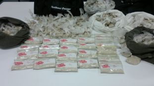 Drug Detector Dogs Do It Again - Darwin Airport