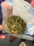 Cannabis Seized – Alice Springs