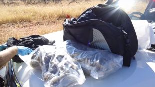 Police Seize One Kilogram of Cannabis - Alice Springs