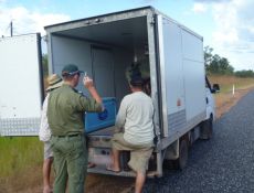 Water Police Net Offenders - Darwin