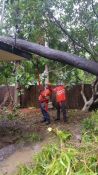 Northern Territory Emergency Service's extraordinary volunteers continue their work