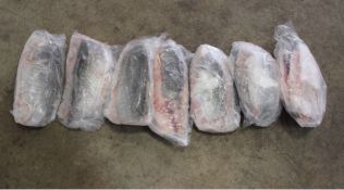 Couple Summonsed for Exceeding Barramundi Possession Limits - Daly River