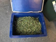 Charges – Cannabis Seizure – Alice Springs