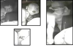 Call for Assistance - Robbery - Alice Springs