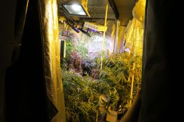 Arrest – Drug Offences – Nightcliff 