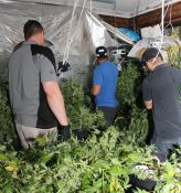 Hydroponic System Dismantled - Howard Springs