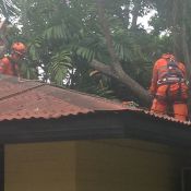 Northern Territory Emergency Service's extraordinary volunteers continue their work