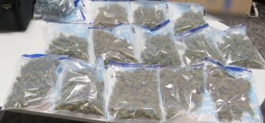 Cannabis Seizure - Tennant Creek