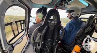Aerial search