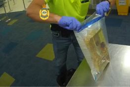 Operation Quantico - seizure