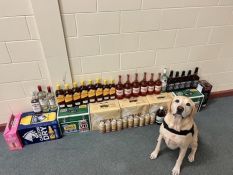 Drug Detection Dog Rafa