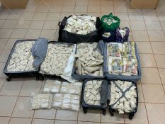 Kava and cash seizure