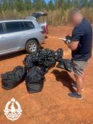 Cannabis seizure