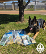 Cash Seizure