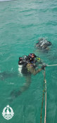 Diver 1