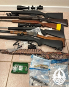 Seized firearms