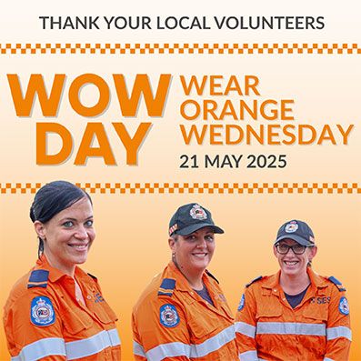 Wear orange wednesday